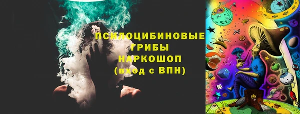 PSILOCYBIN Арсеньев